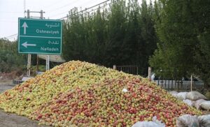 کاهش ضایعات کشاورزی با سردخانه‌