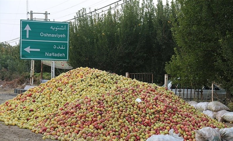 کاهش ضایعات کشاورزی با سردخانه‌
